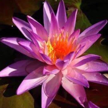 406531169488142453294135709277804412010496n