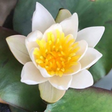 422452305333752804487165330722320405233664n